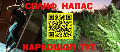 МДПВ Гагарин